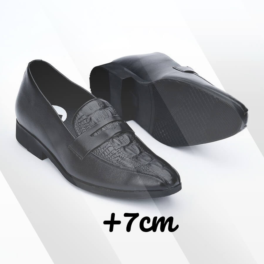 spcc03 tăng 7cm