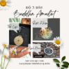 Bộ 3 bùa Buddha Amulet bùa hộ mệnh tây tạng